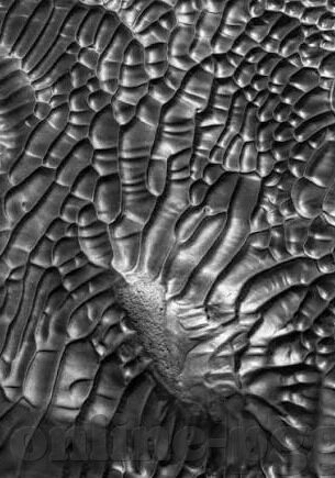 足球比分怎么卖-警惕足球比分售卖陷阱，守护体育纯粹与个人权益